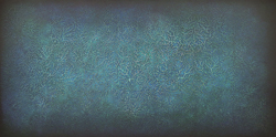アダム・ウェストン展  作品画像