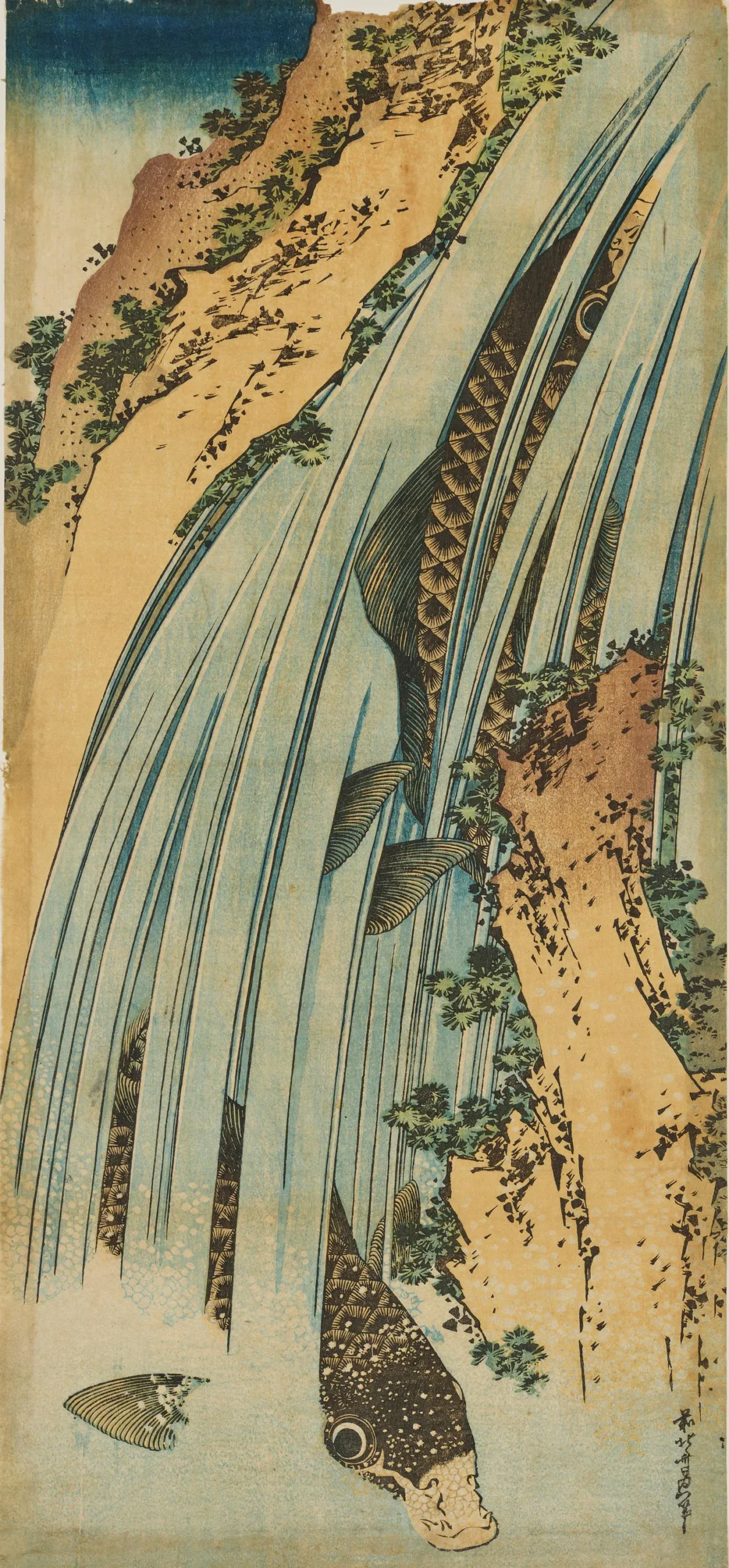葛飾北斎《鯉の滝登り》江戸時代・19世紀 長大判 錦絵 49.9×23.2cm 東京国立博物館 出典:Colbase(https://colbase.nich.go.jp/)